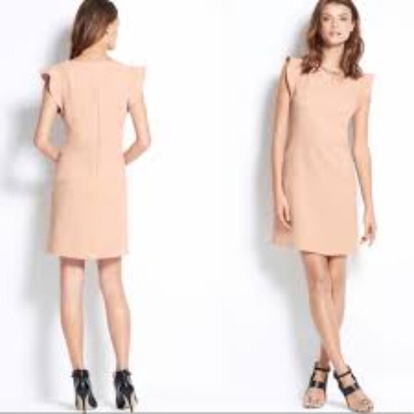 Ann Taylor Blush Knit Flutter Cap Sleeve Seamed Knit Crepe Sheath Dress Sz 6 - Picture 1 of 9